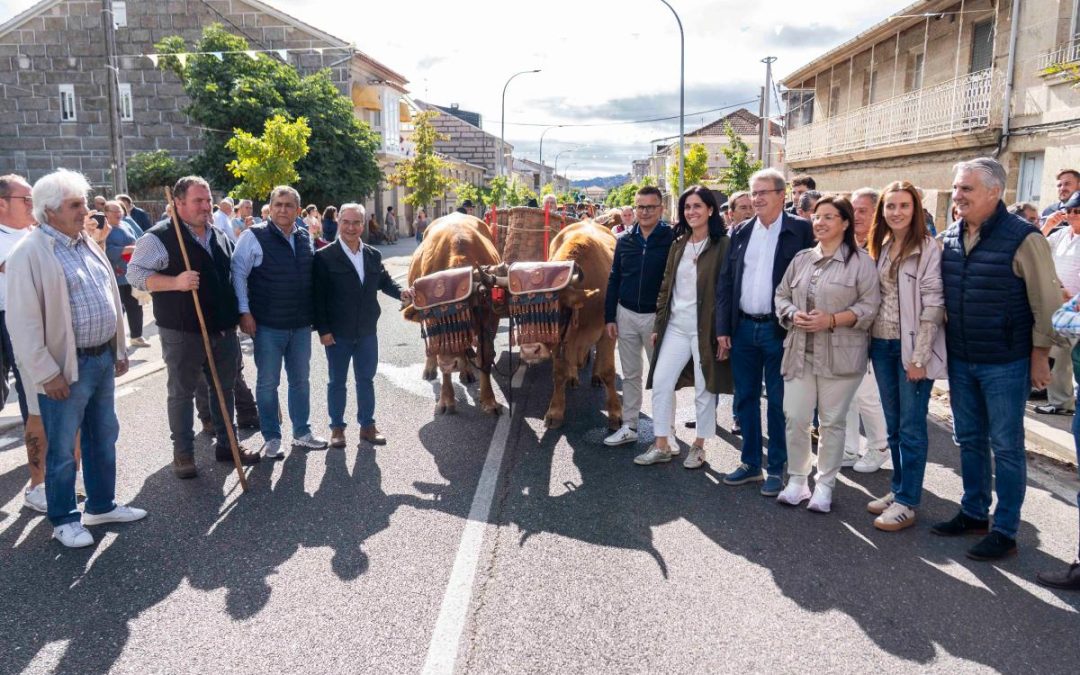 A Xunta reflicte no festival Monterrei Reverdece o seu apoio ao sector vitivinícola como estratéxico no pulo ao emprendemento ligado ao territorio
