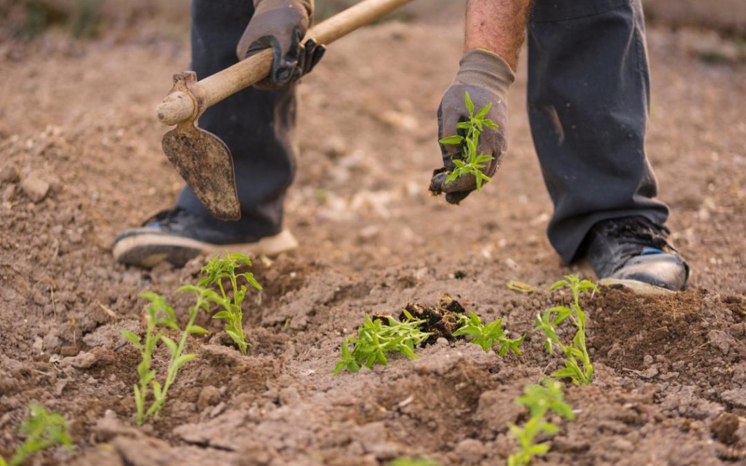 Rueda destaca que la Xunta potenciará la inserción en los nuevos talleres de empleo incrementando las prácticas y los incentivos a la contratación y con un eje en la prevención de los incendios